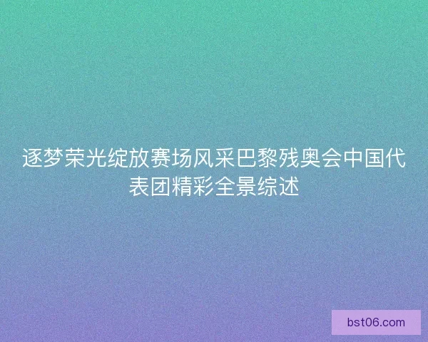 逐梦荣光绽放赛场风采巴黎残奥会中国代表团精彩全景综述
